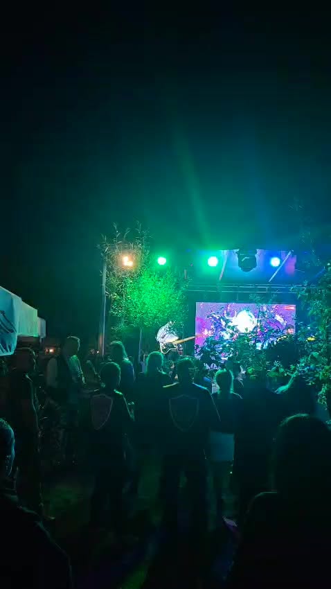 Publicul la concert, seara